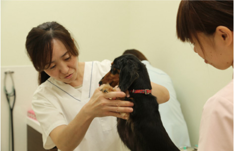 宮崎市 ナナ動物病院