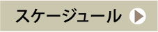 スケージュール